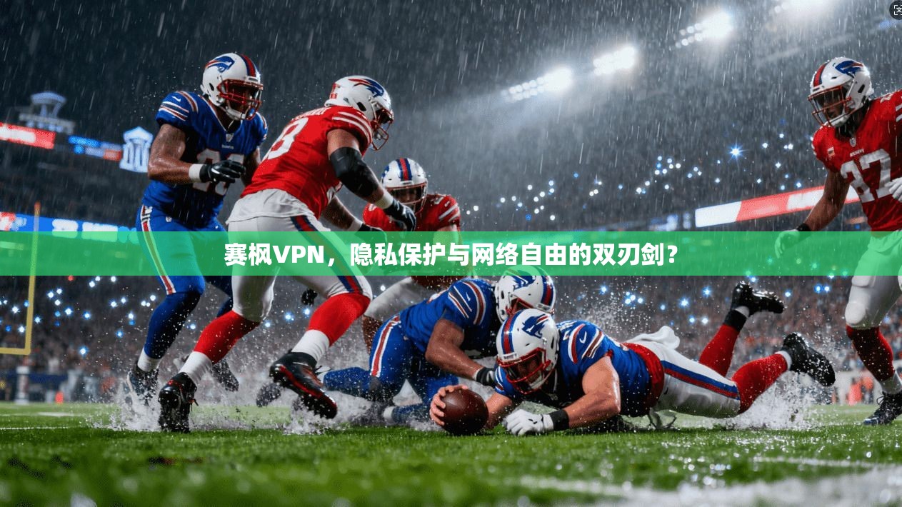 赛枫VPN，隐私保护与网络自由的双刃剑？