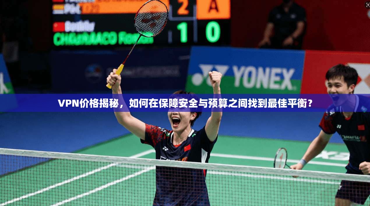 VPN价格揭秘，如何在保障安全与预算之间找到最佳平衡？