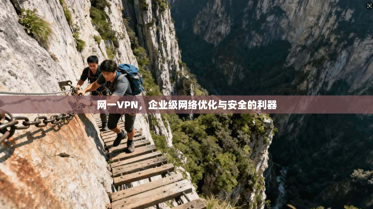 网一VPN,企业级网络优化与安全的利器