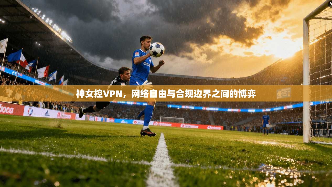 神女控VPN，网络自由与合规边界之间的博弈