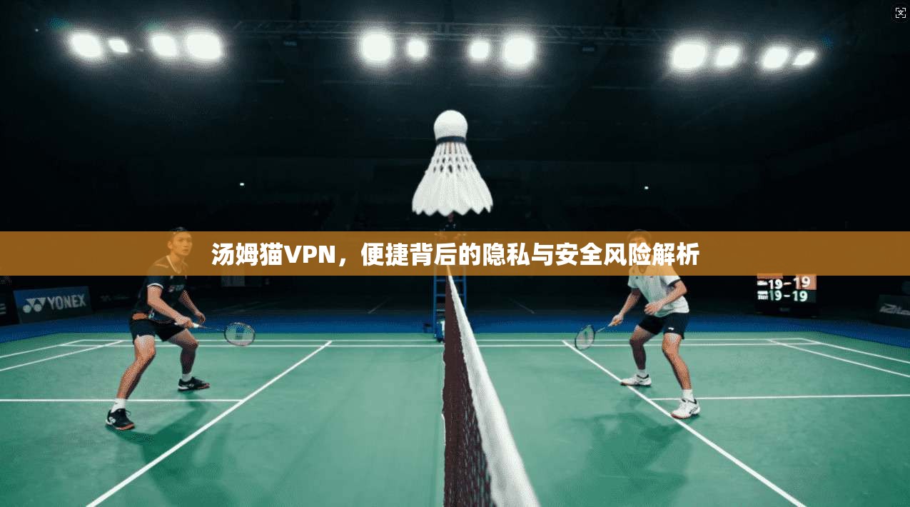 汤姆猫VPN，便捷背后的隐私与安全风险解析