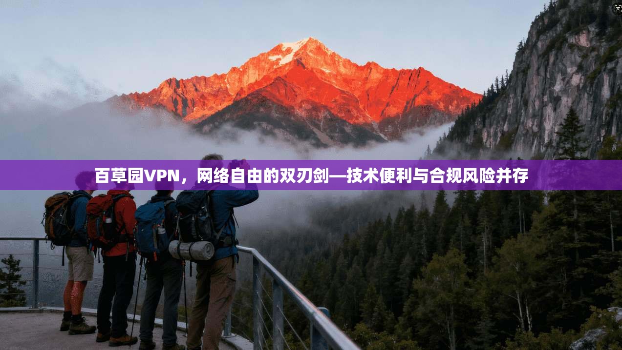 百草园VPN，网络自由的双刃剑—技术便利与合规风险并存