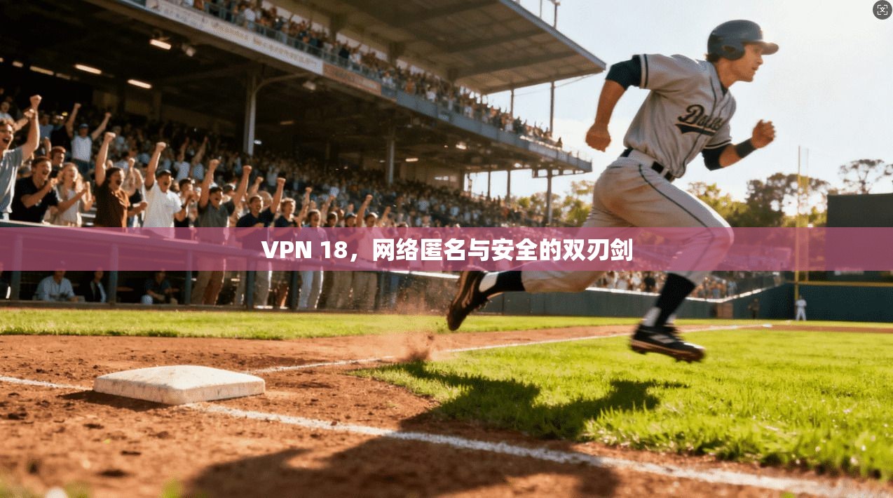 VPN 18,网络匿名与安全的双刃剑