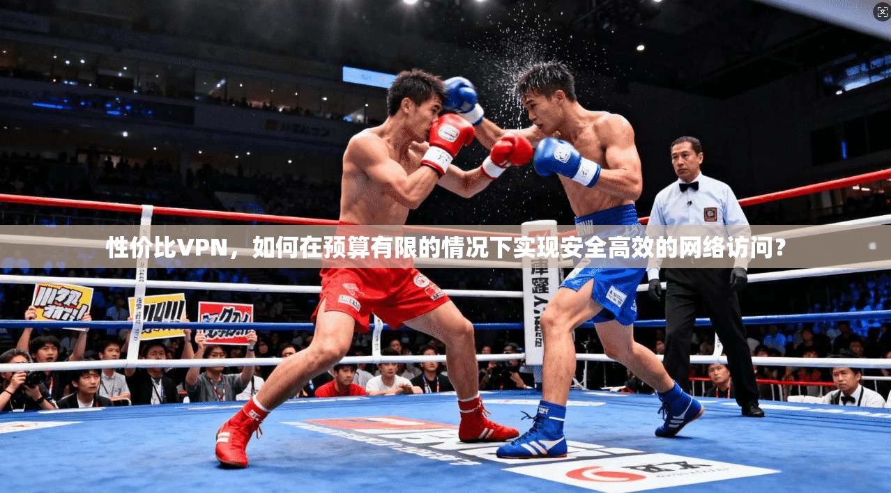 性价比VPN，如何在预算有限的情况下实现安全高效的网络访问？