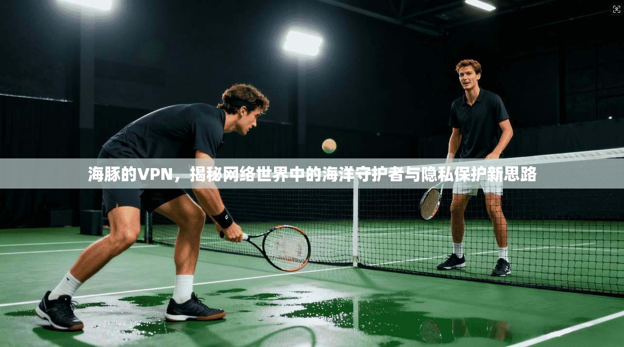 海豚的VPN,揭秘网络世界中的海洋守护者与隐私保护新思路