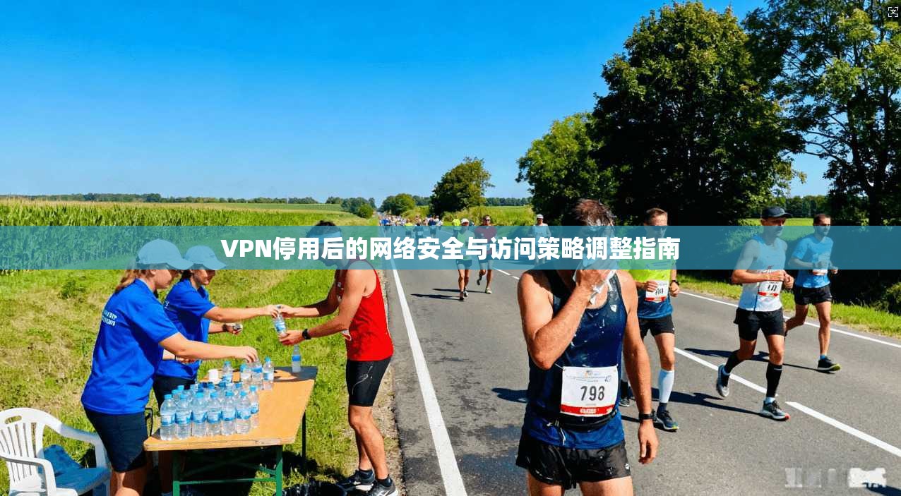 VPN停用后的网络安全与访问策略调整指南