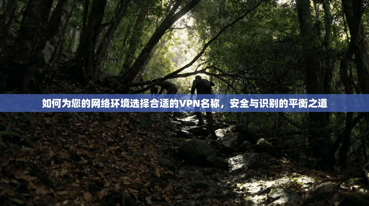 如何为您的网络环境选择合适的VPN名称,安全与识别的平衡之道