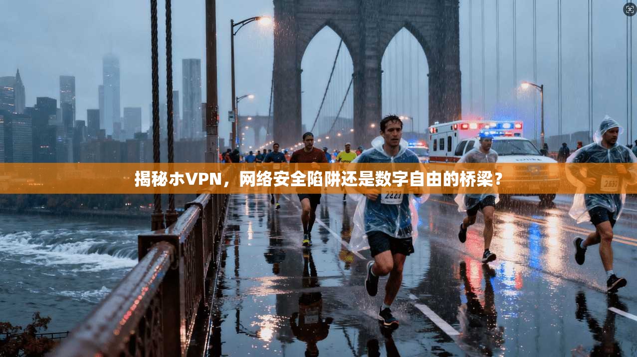 揭秘ホVPN,网络安全陷阱还是数字自由的桥梁?