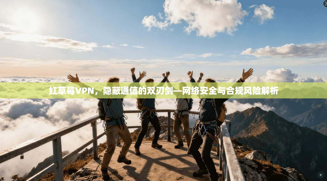 红草莓VPN，隐蔽通信的双刃剑—网络安全与合规风险解析