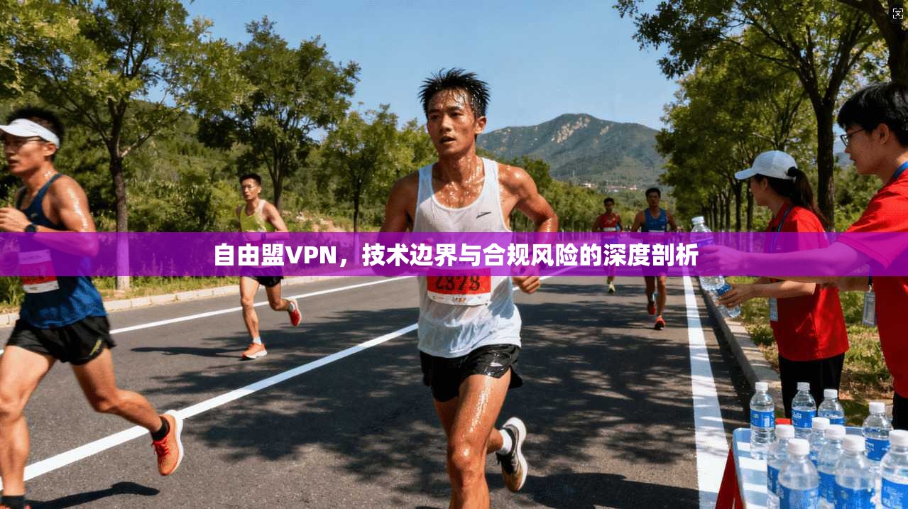 自由盟VPN，技术边界与合规风险的深度剖析