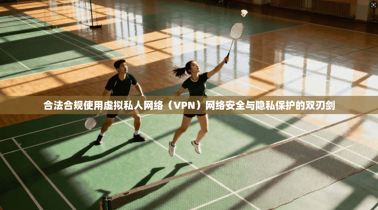 合法合规使用虚拟私人网络（VPN）网络安全与隐私保护的双刃剑