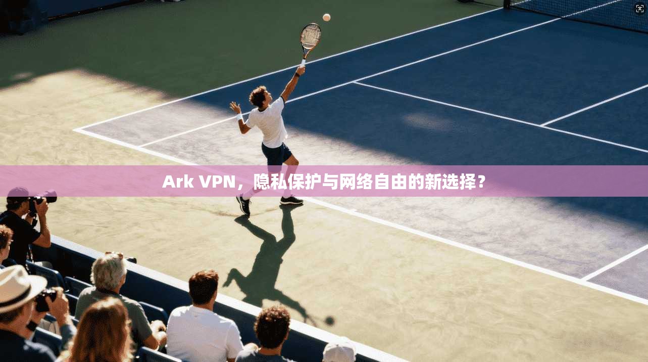 Ark VPN，隐私保护与网络自由的新选择？