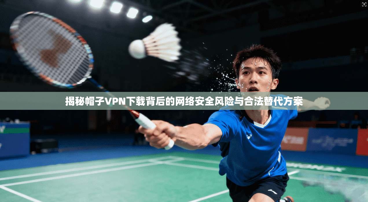 揭秘帽子VPN下载背后的网络安全风险与合法替代方案