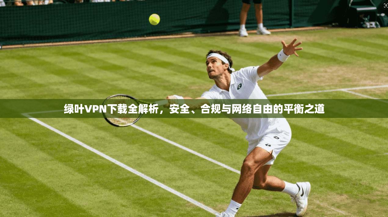绿叶VPN下载全解析，安全、合规与网络自由的平衡之道