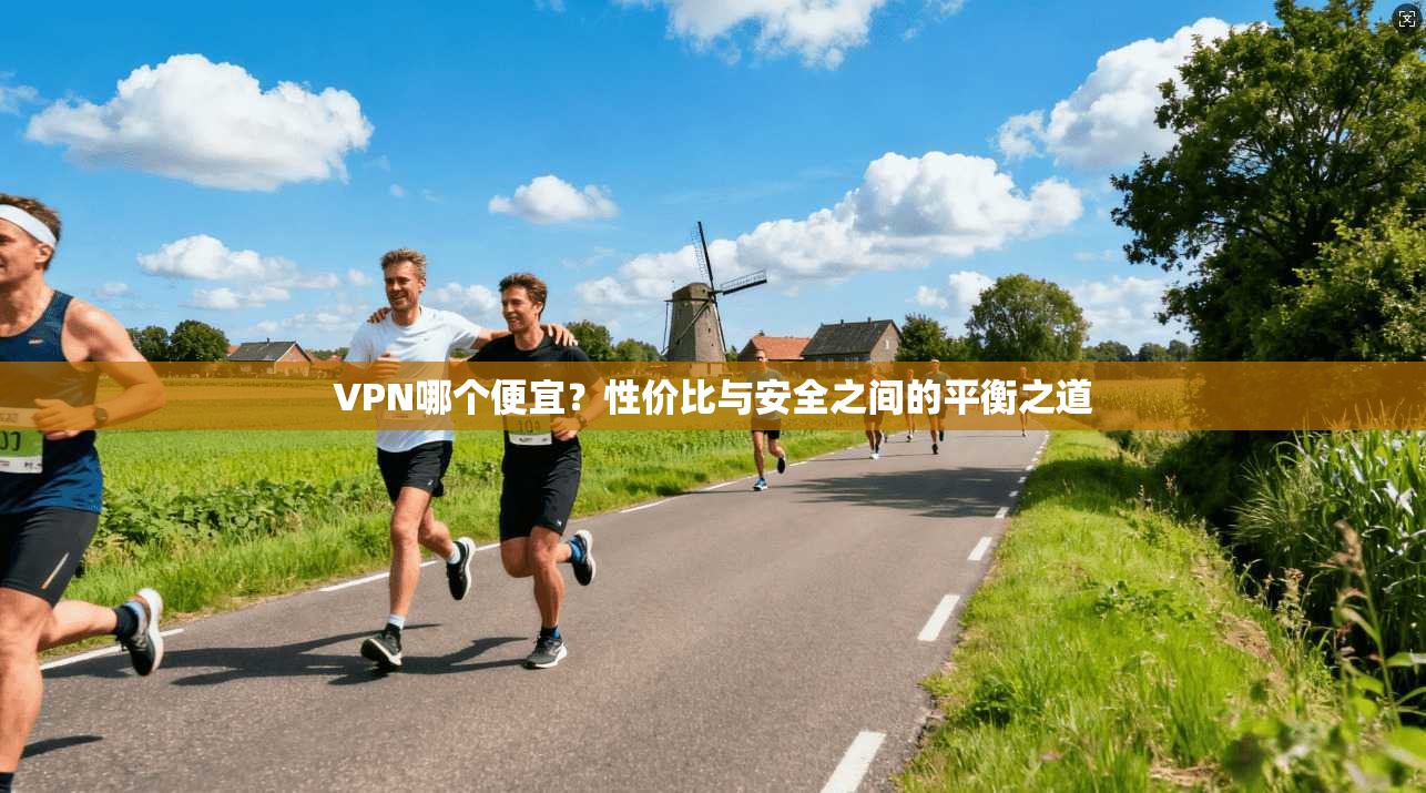 VPN哪个便宜？性价比与安全之间的平衡之道