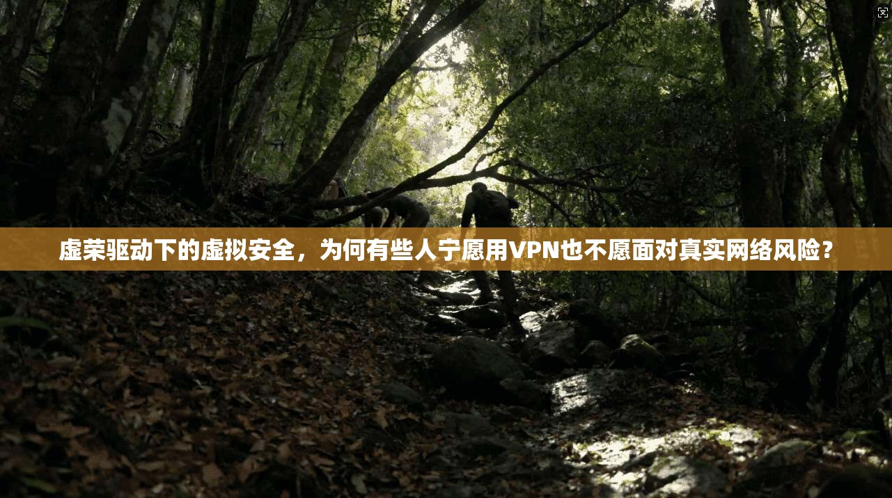 虚荣驱动下的虚拟安全，为何有些人宁愿用VPN也不愿面对真实网络风险？
