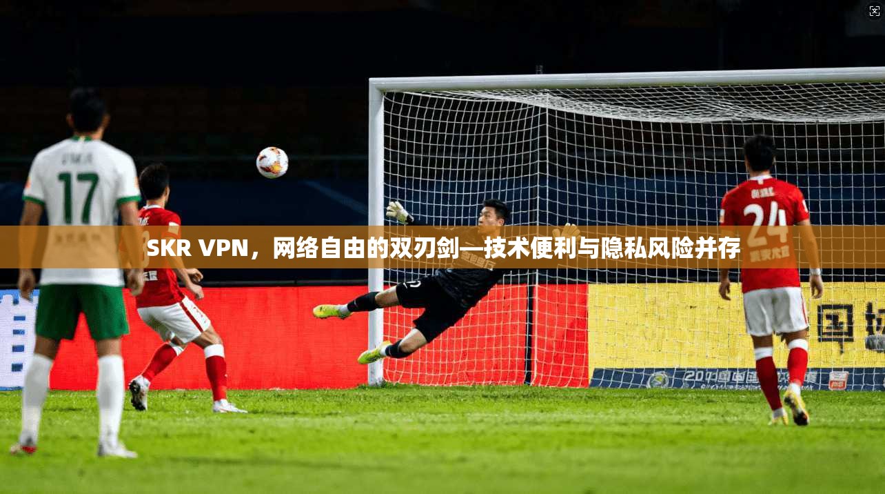 SKR VPN，网络自由的双刃剑—技术便利与隐私风险并存
