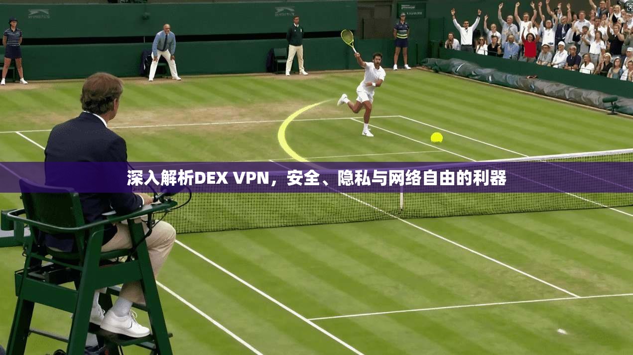 深入解析DEX VPN，安全、隐私与网络自由的利器