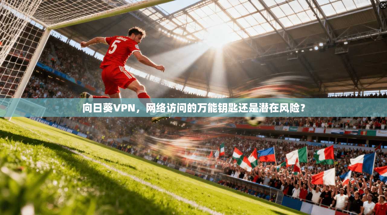 向日葵VPN，网络访问的万能钥匙还是潜在风险？