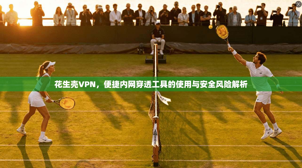 花生壳VPN，便捷内网穿透工具的使用与安全风险解析