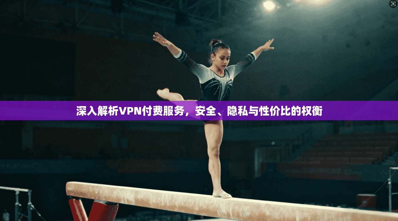 深入解析VPN付费服务，安全、隐私与性价比的权衡