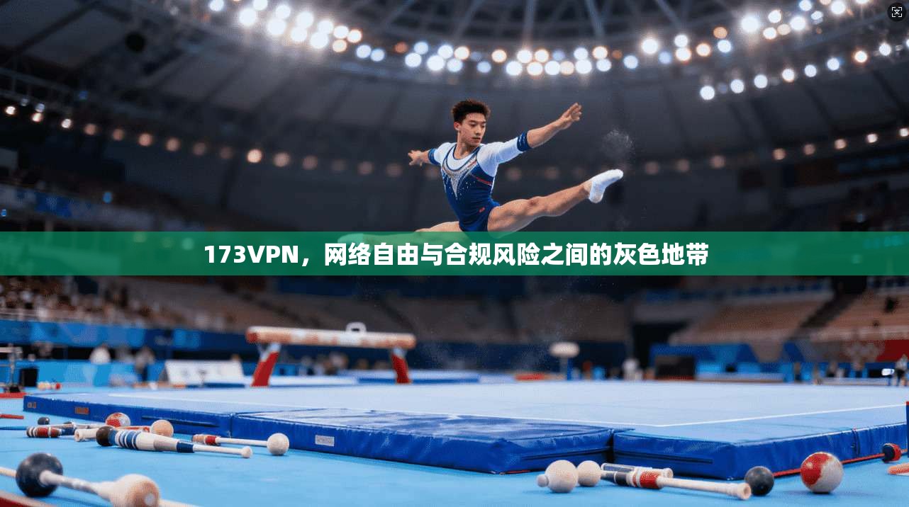 173VPN，网络自由与合规风险之间的灰色地带