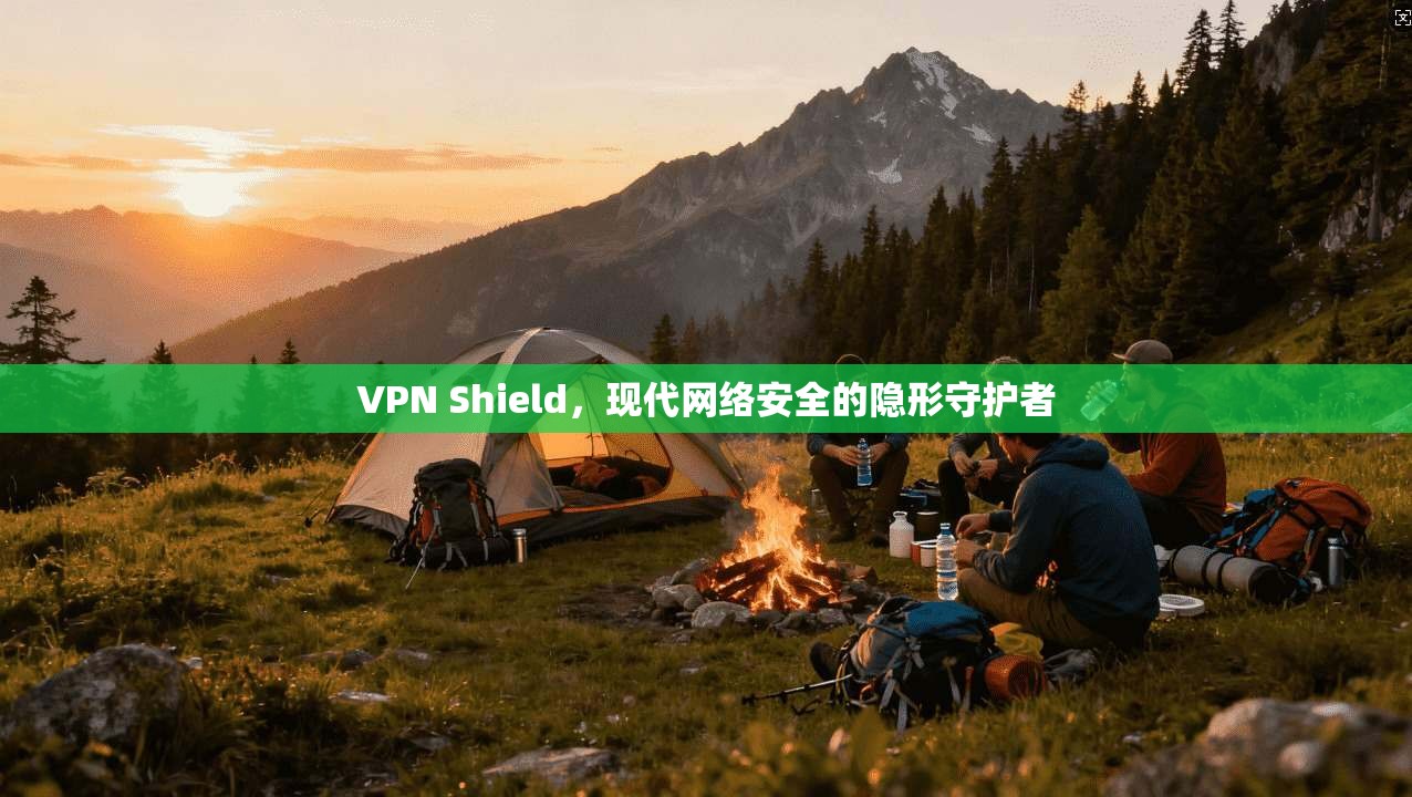 VPN Shield，现代网络安全的隐形守护者