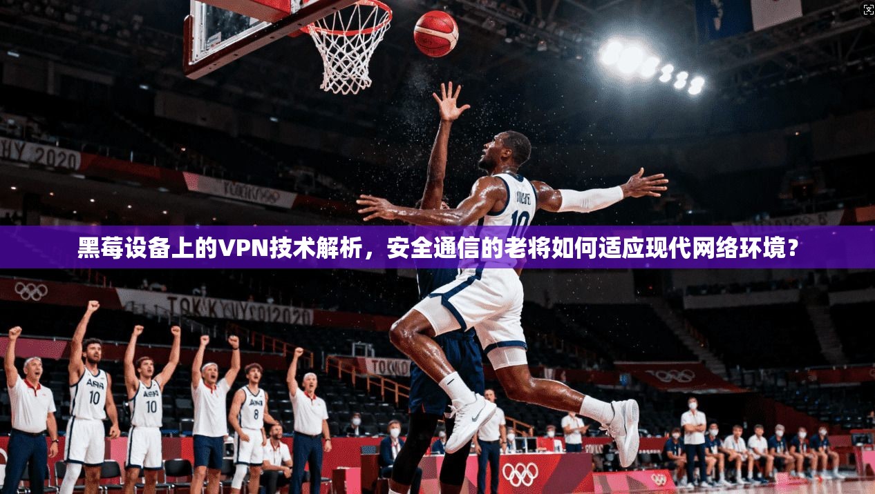 黑莓设备上的VPN技术解析，安全通信的老将如何适应现代网络环境？