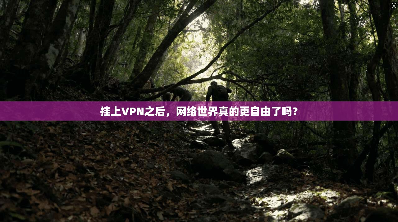 挂上VPN之后，网络世界真的更自由了吗？