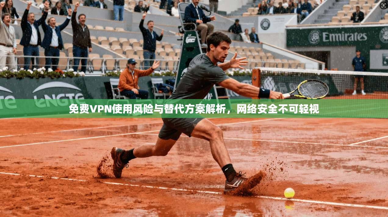 免费VPN使用风险与替代方案解析，网络安全不可轻视