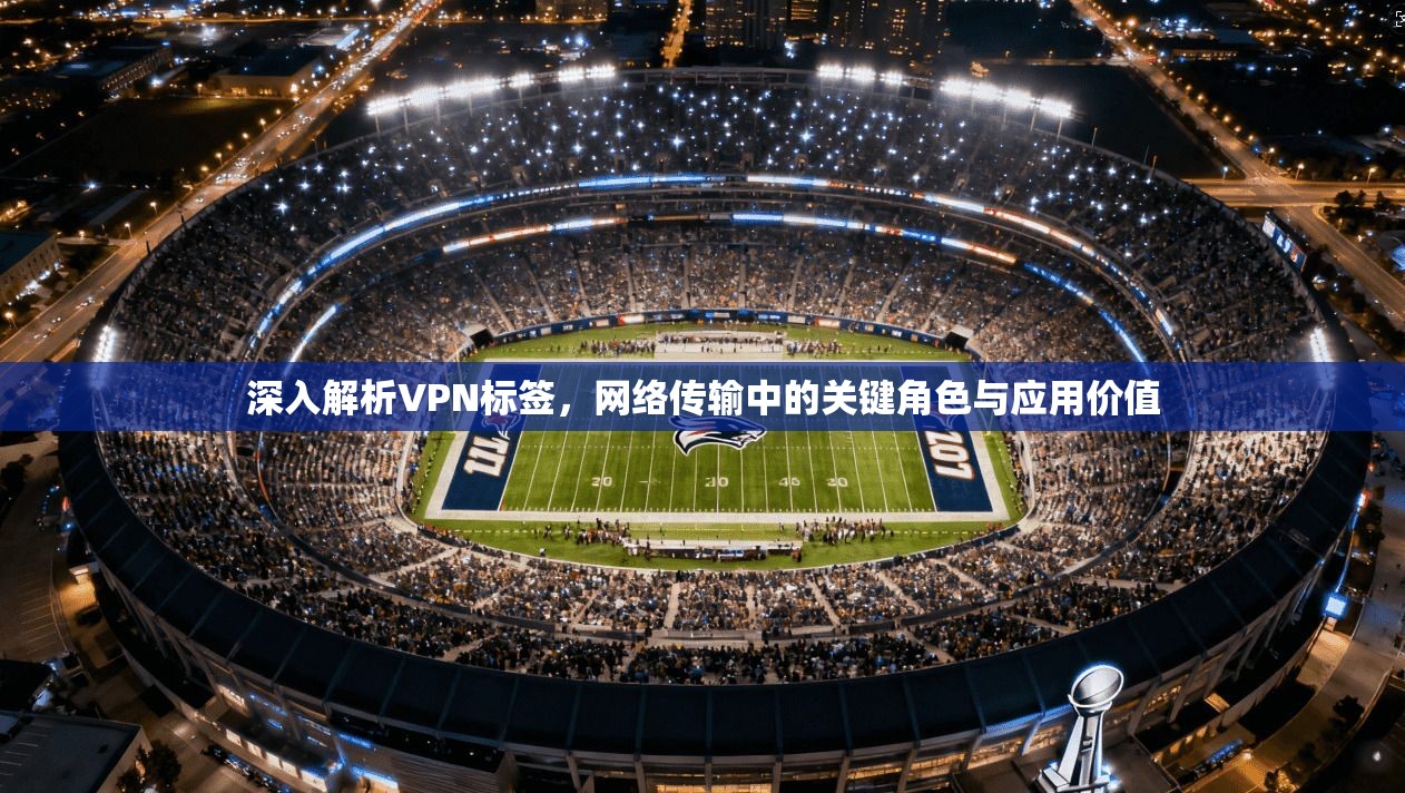 深入解析VPN标签，网络传输中的关键角色与应用价值