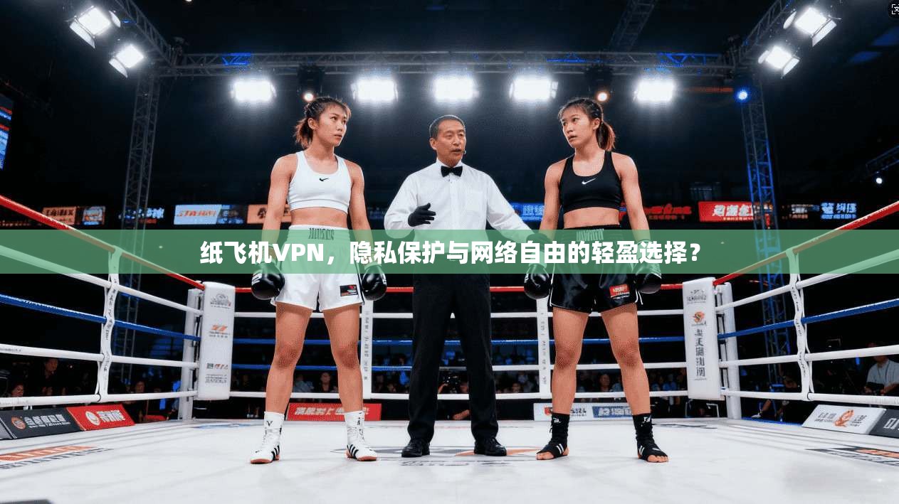 纸飞机VPN，隐私保护与网络自由的轻盈选择？