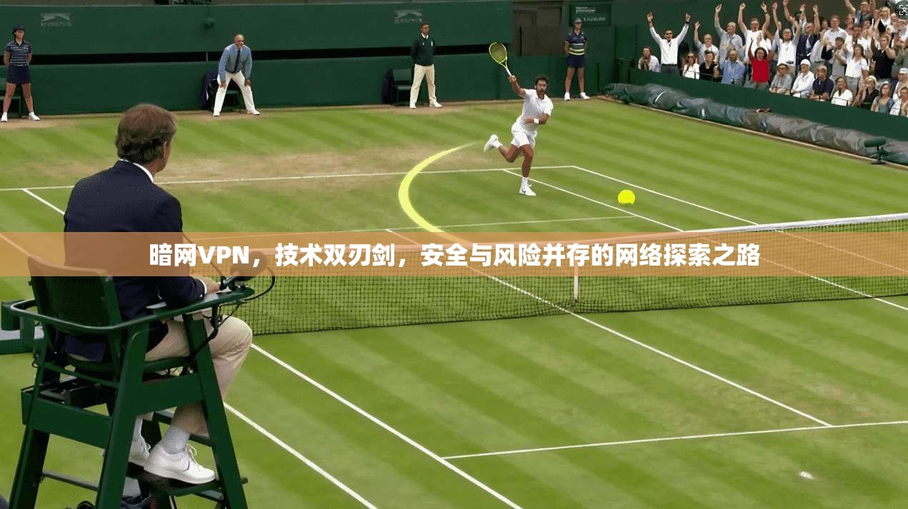 暗网VPN，技术双刃剑，安全与风险并存的网络探索之路