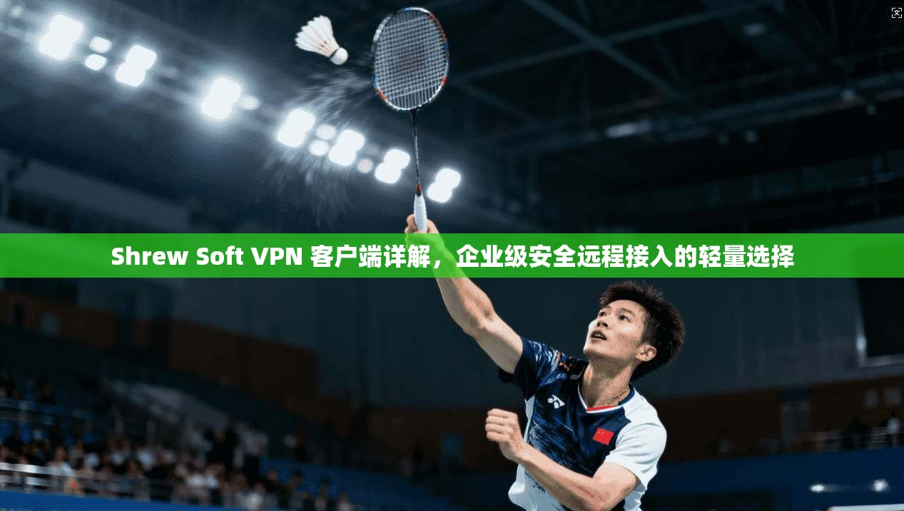 Shrew Soft VPN 客户端详解，企业级安全远程接入的轻量选择