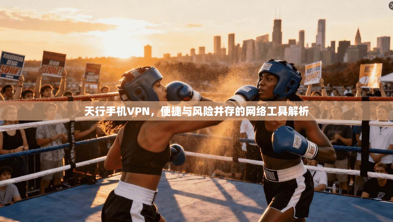 天行手机VPN，便捷与风险并存的网络工具解析