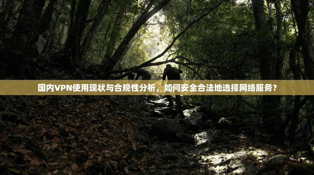 国内VPN使用现状与合规性分析，如何安全合法地选择网络服务？