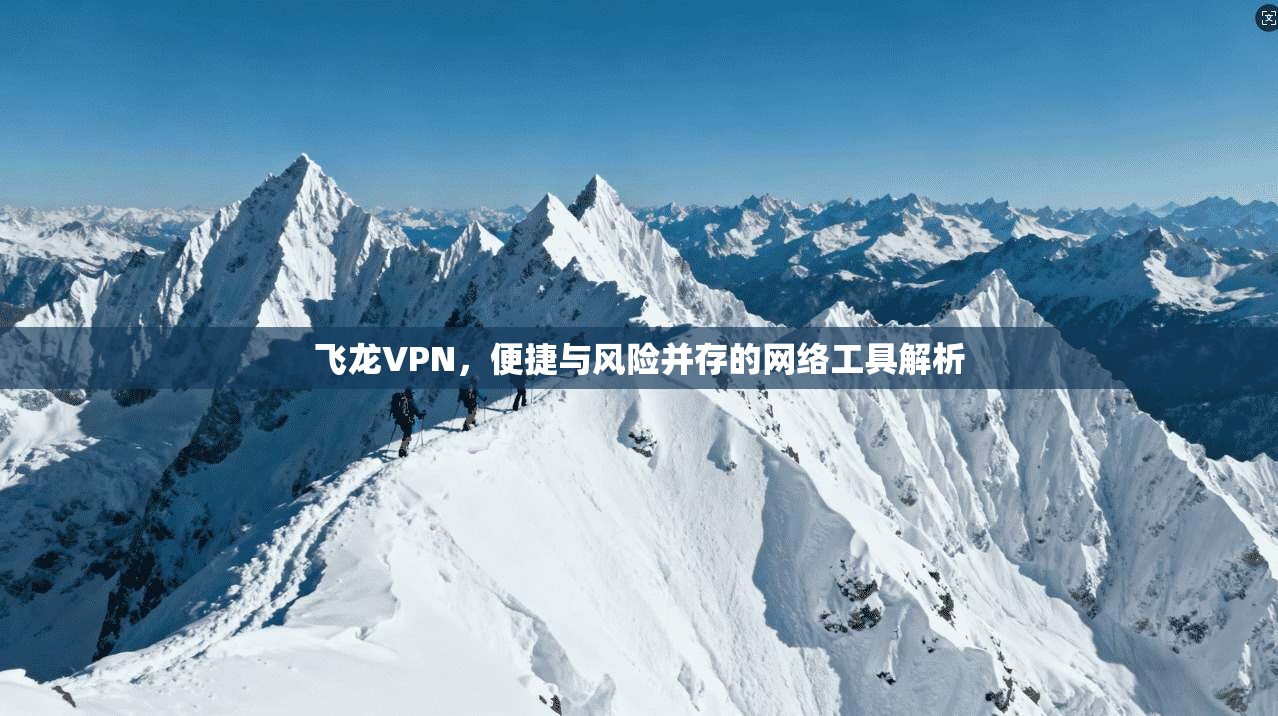 飞龙VPN，便捷与风险并存的网络工具解析
