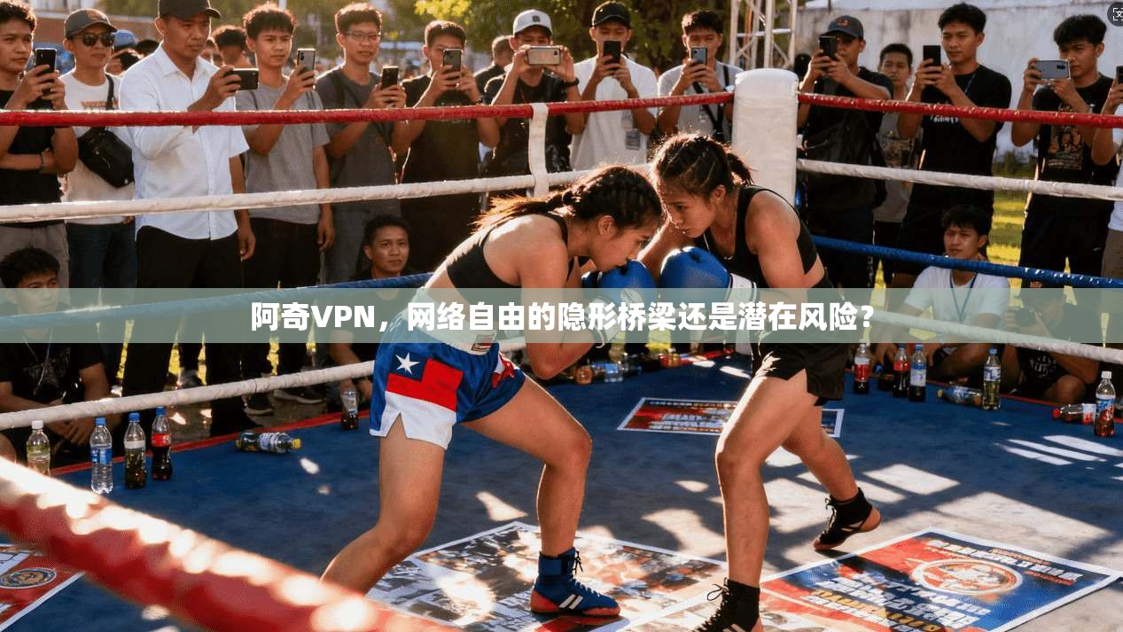 阿奇VPN，网络自由的隐形桥梁还是潜在风险？