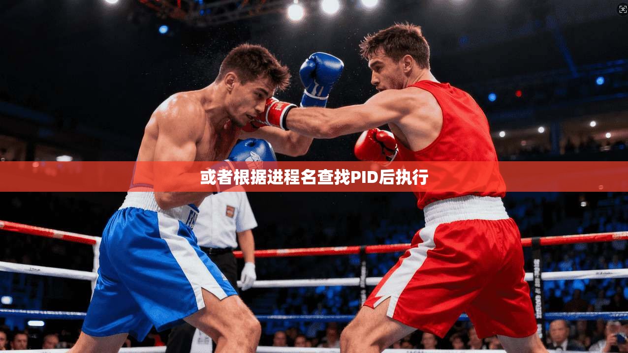 或者根据进程名查找PID后执行