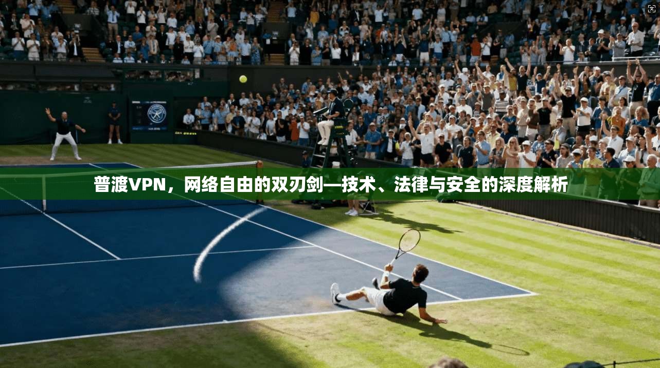 普渡VPN，网络自由的双刃剑—技术、法律与安全的深度解析