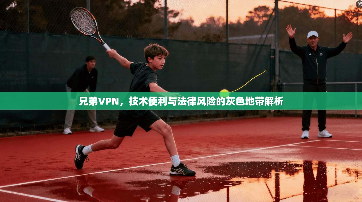 兄弟VPN，技术便利与法律风险的灰色地带解析