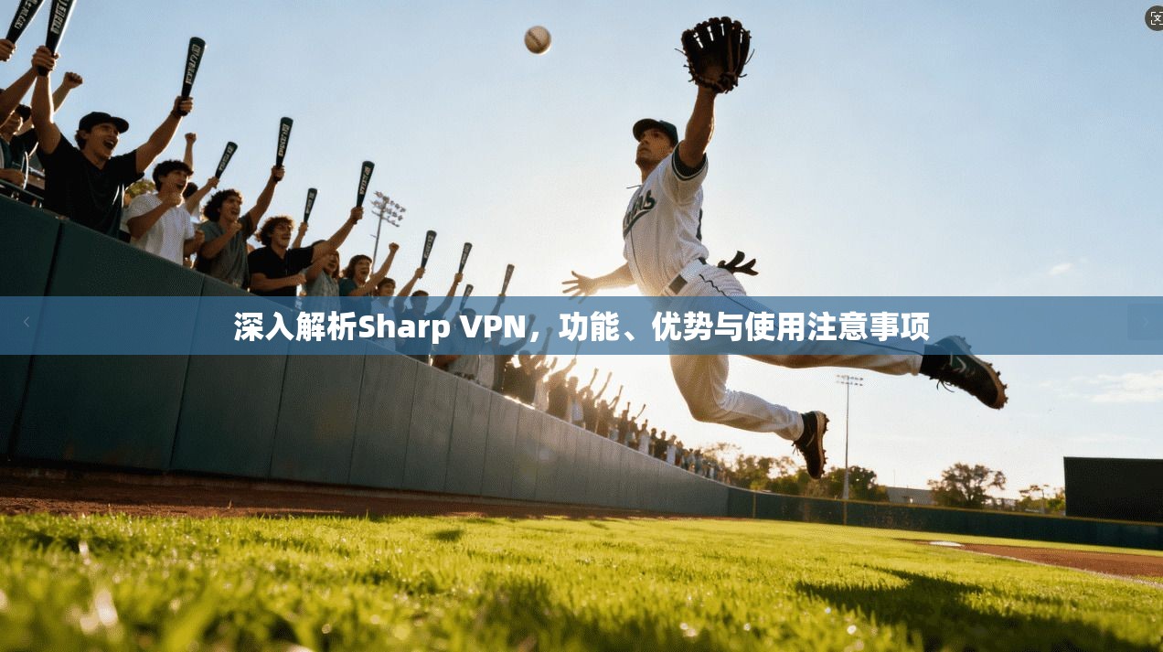 深入解析Sharp VPN，功能、优势与使用注意事项