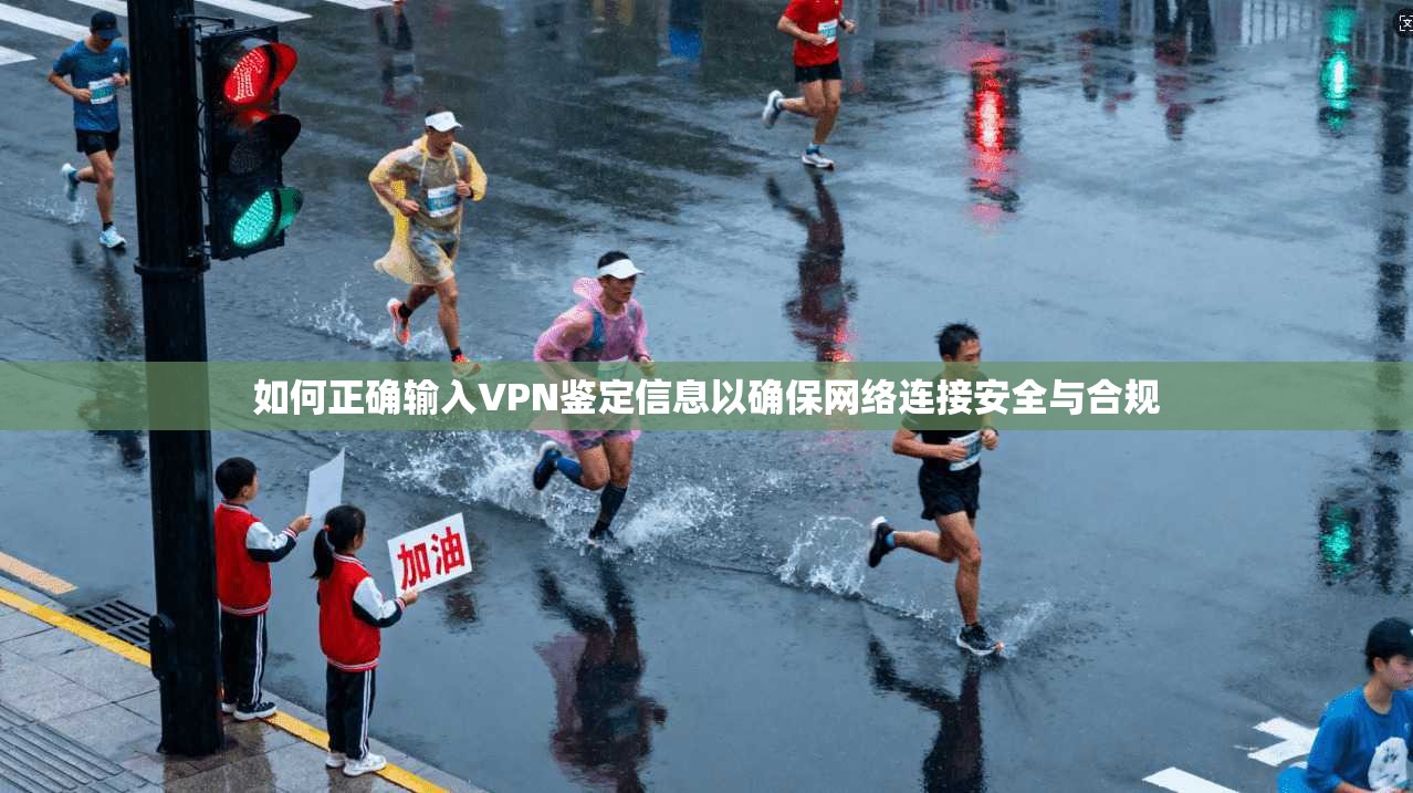 如何正确输入VPN鉴定信息以确保网络连接安全与合规