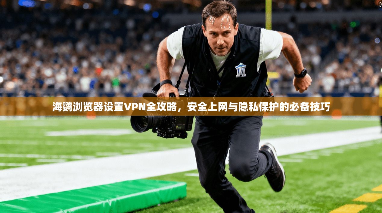 海鹦浏览器设置VPN全攻略，安全上网与隐私保护的必备技巧