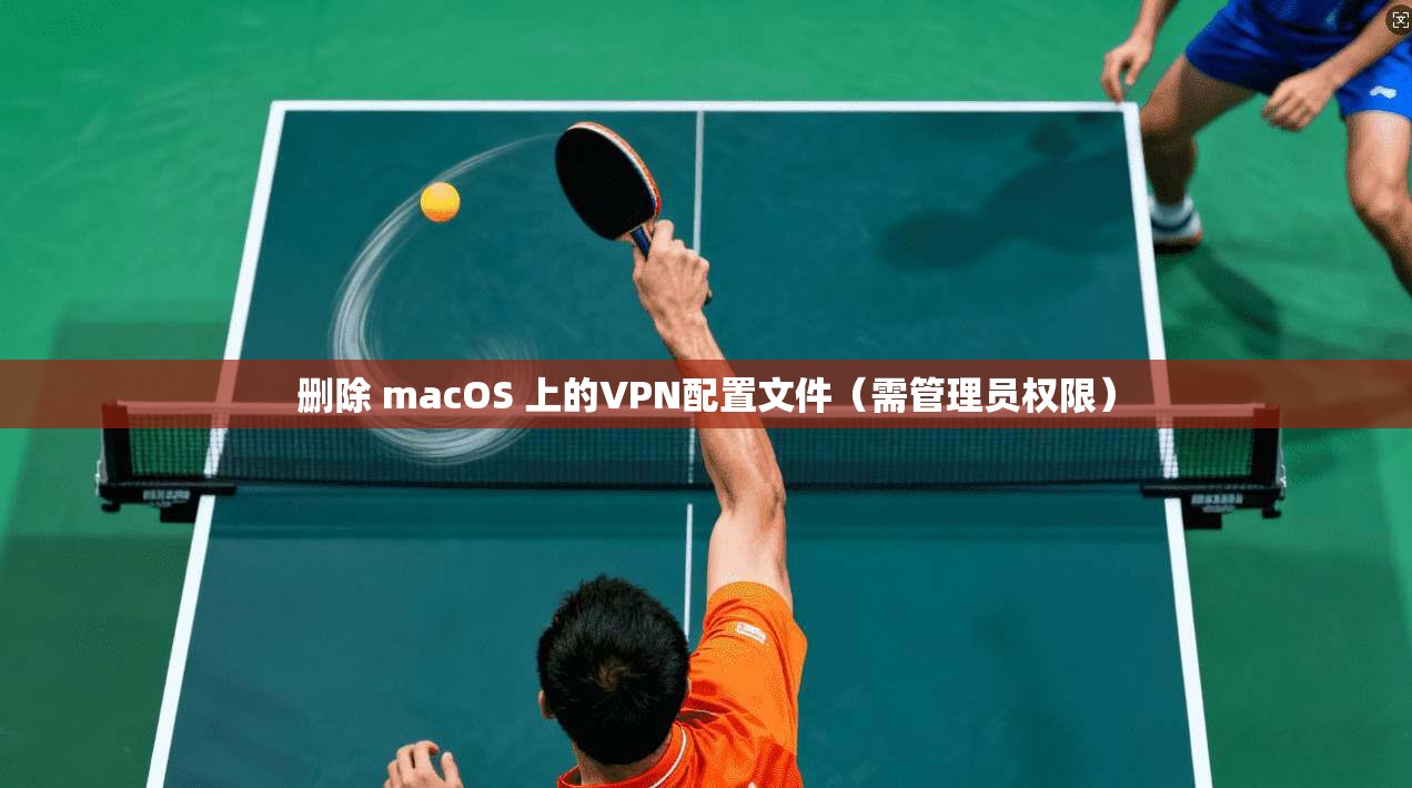 删除 macOS 上的VPN配置文件（需管理员权限）