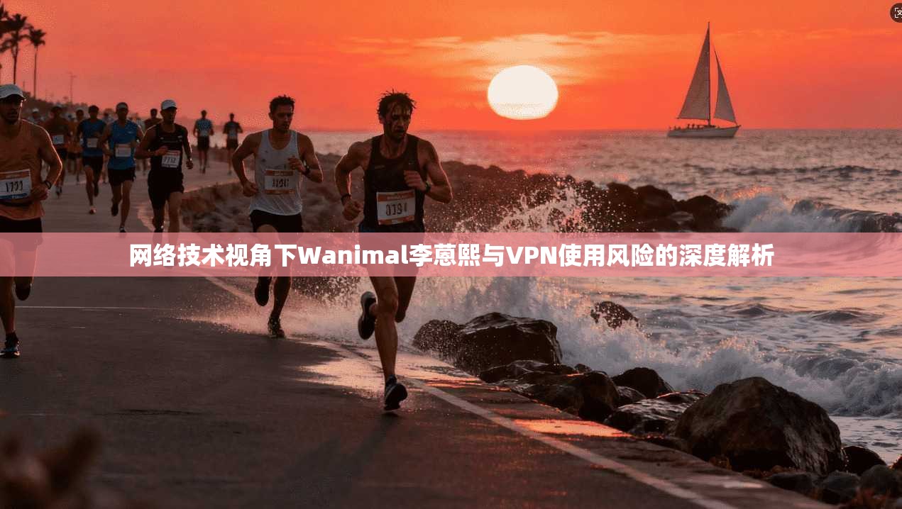网络技术视角下Wanimal李蒽熙与VPN使用风险的深度解析