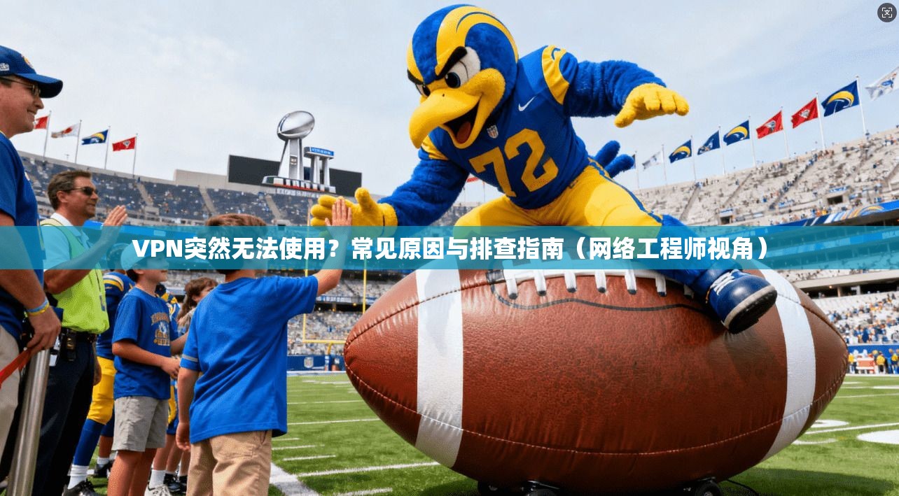 VPN突然无法使用？常见原因与排查指南（网络工程师视角）