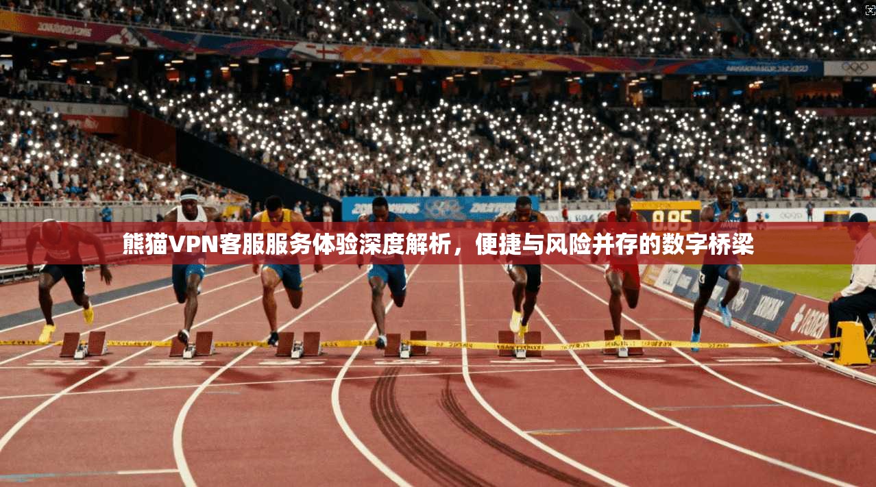 熊猫VPN客服服务体验深度解析,便捷与风险并存的数字桥梁 熊猫VPN客服服务体验深度解析,便捷与风险并存的数字桥梁