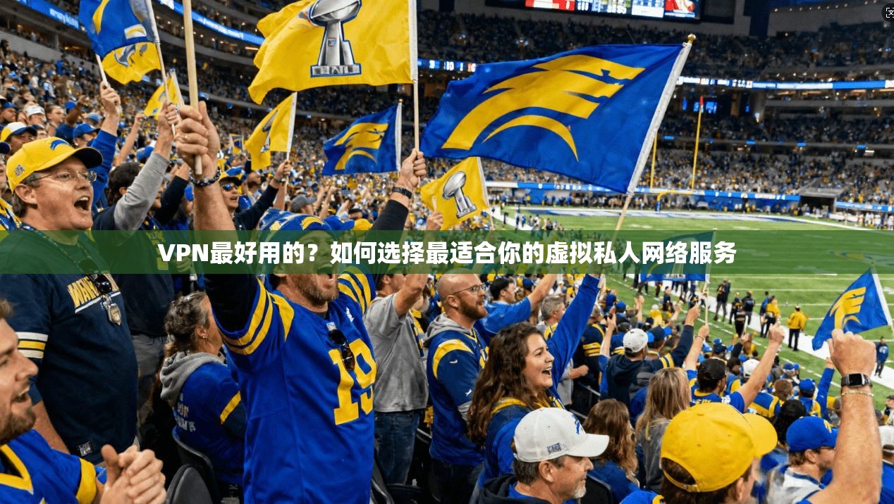 VPN最好用的？如何选择最适合你的虚拟私人网络服务