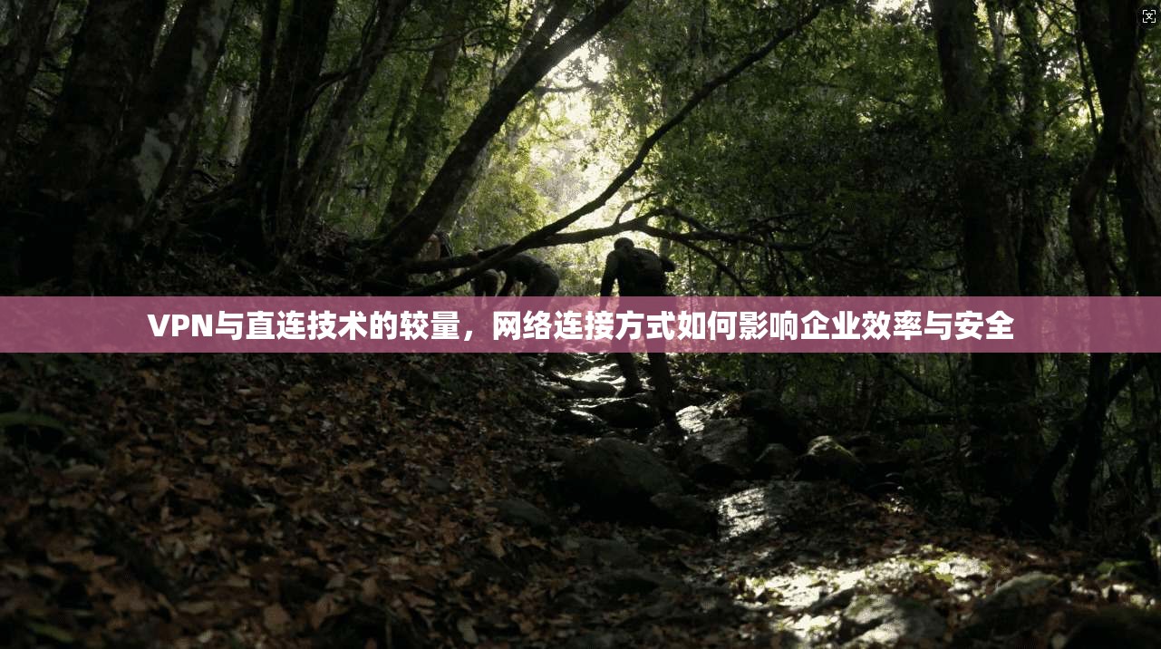 VPN与直连技术的较量，网络连接方式如何影响企业效率与安全